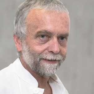 Wolfgang Gubisch Faculty MIPSS 2024